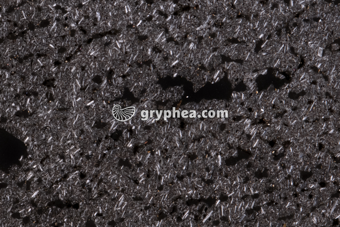 Andésite bulleuse LPA x3 - gryphea.org